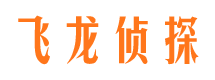 共青城侦探调查公司